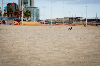 WhatsApp Image 2025-04-16 at 11.12.31.jpeg